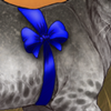 Leopon Bow - Dark Blue